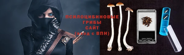 apvp Нефтегорск