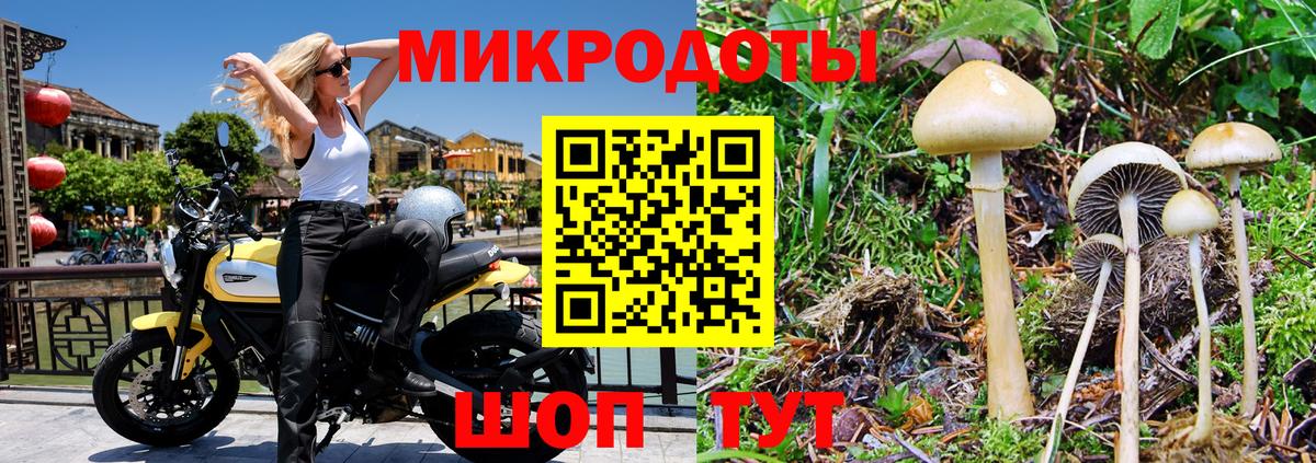 Комсомольск-на-Амуре  Псилоцибиновые грибы MAGIC MUSHROOMS  Вход с VPN 